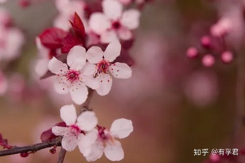 张延生易经入门_张延生易经讲座视频_易学入门 张延生 txt