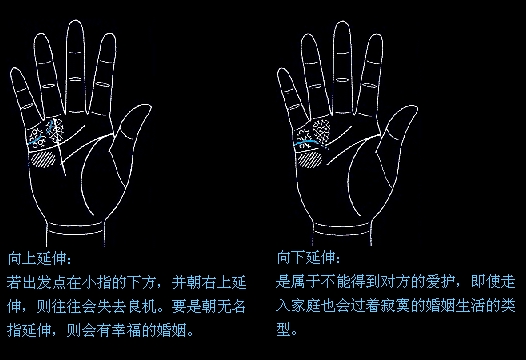 手相图解大全男左手智慧线智_男人左手断掌手相图解_男人左手手相命运线