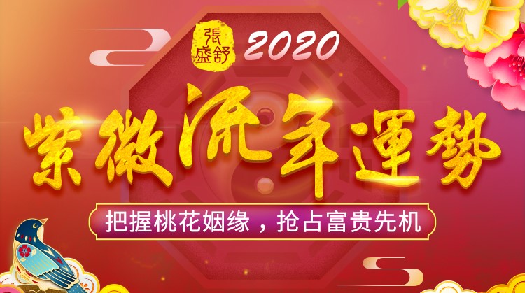 紫薇斗数看流年财运_紫微斗数2020流年财运_紫微斗数流年财运2020