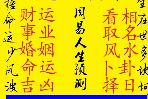 庚金八字案例100命理_八字案例100命理辛日主_丁丑日八字案例100命理