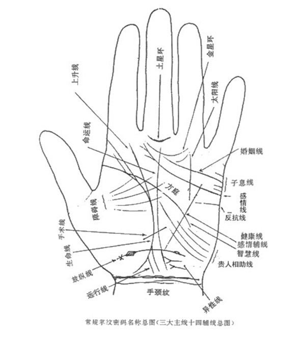 男人手相感情线后分叉图解_男人爱情线分叉图解_手相爱情线分叉图解