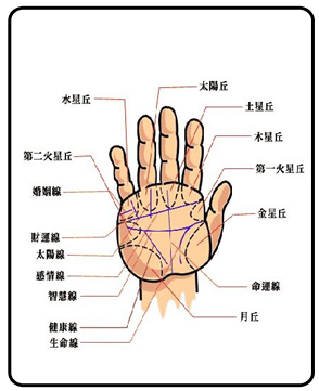 男人爱情线分叉图解_手相爱情线分叉图解_男人手相感情线后分叉图解