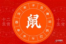 小编2020年生下来属什么生肖2020年生肖属鼠(图)