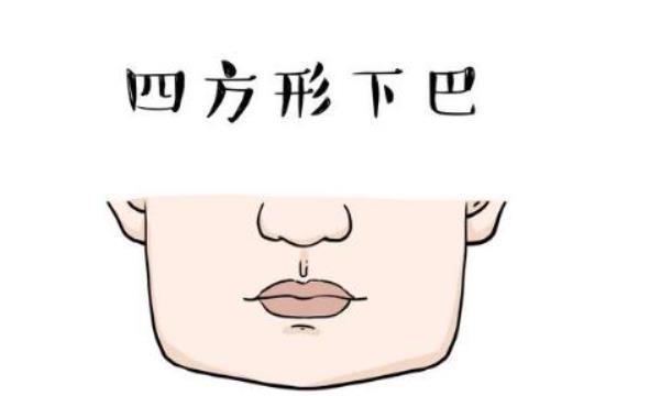 在面相学中，女人下巴面相分几种？下巴看相为你解析