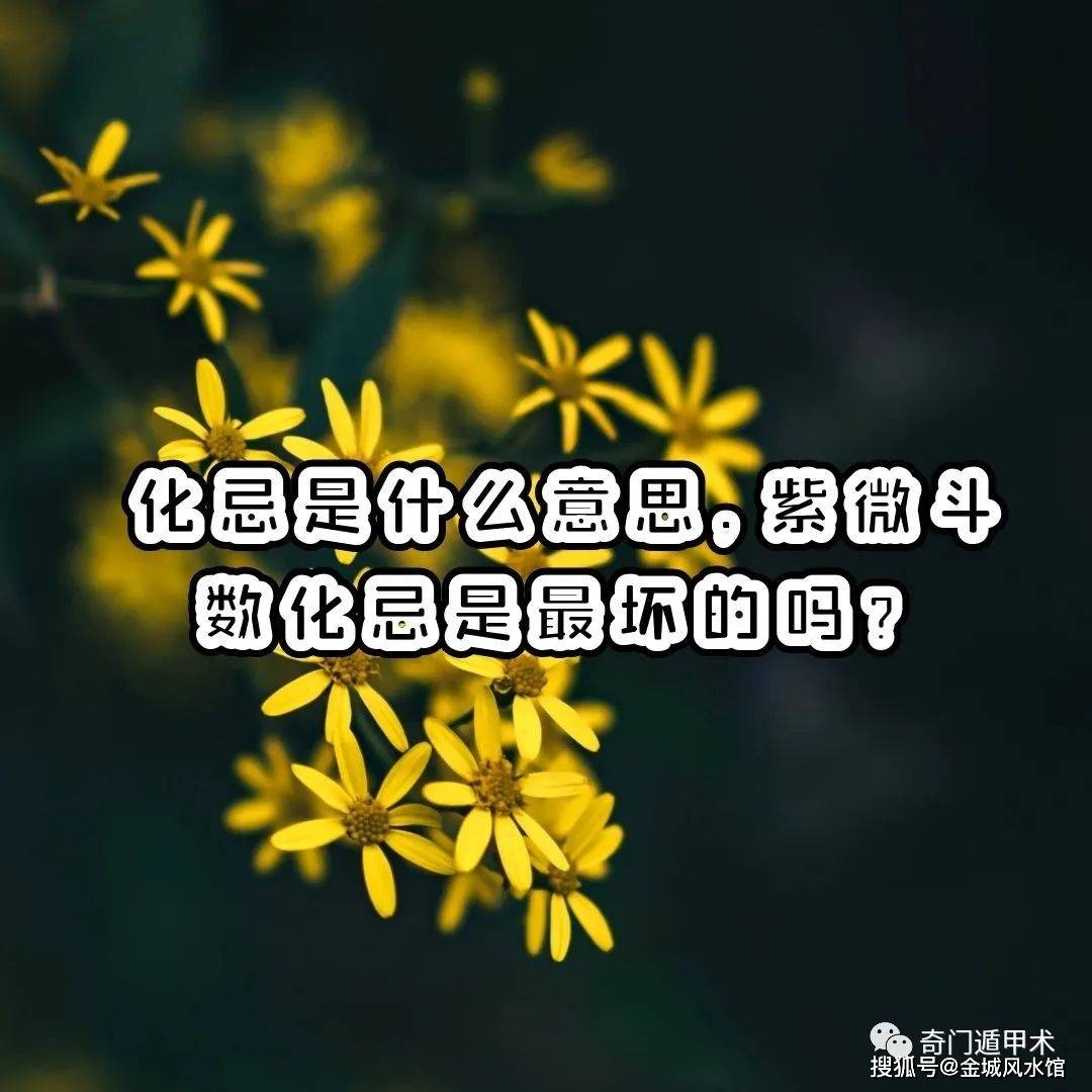 《十天干的四化排列表》之四化的深层含义