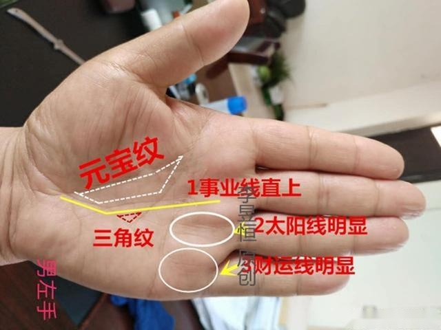 女人财运手相 事业线深粗，成功线粗且直，事业线分叉，皆社会地位高