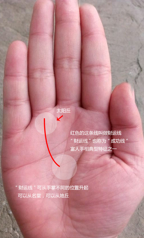 女人财运手相 事业线深粗，成功线粗且直，事业线分叉，皆社会地位高