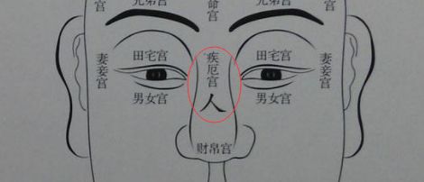 鼻子分管财运划分面相当中分