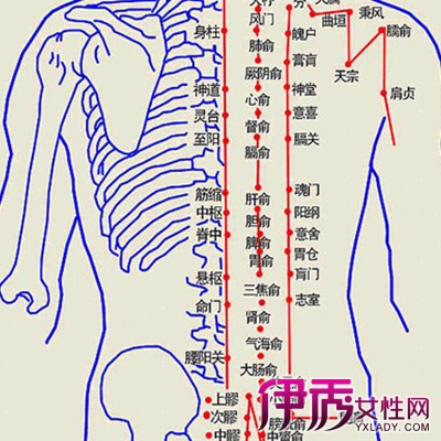 后背长痣代表什么意思：背部长痣是好是坏呢