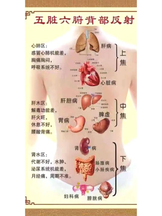 后背长痣代表什么意思：背部长痣是好是坏呢