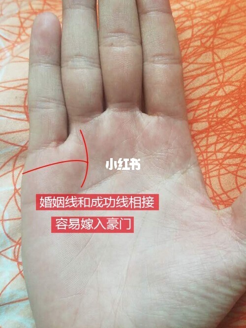 注定会离婚的人手相是有何特征吗?