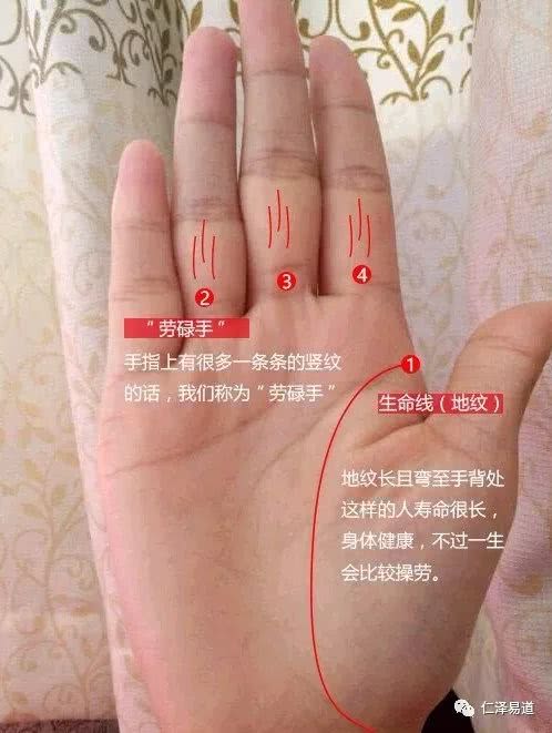 女人手相财运算命，你知道吗？干姜的第二节算命财运