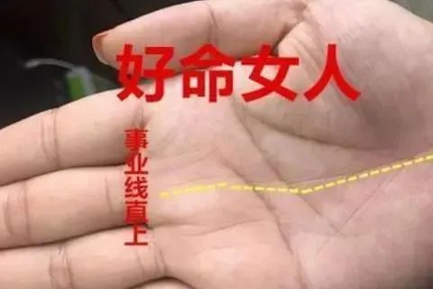 周易手相如何预测生男生女在中国相学中的相关信息？