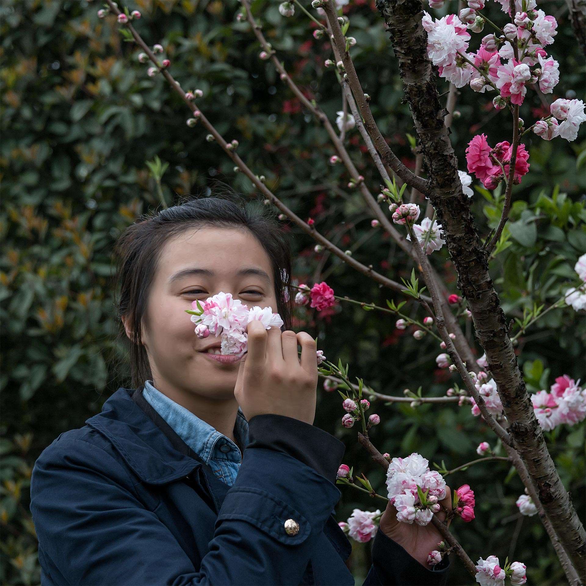 鼻子鼻头有痣的女人人生财运会受到影响吗？