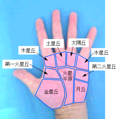 （李向东）手掌生命线怎么看？风水堂