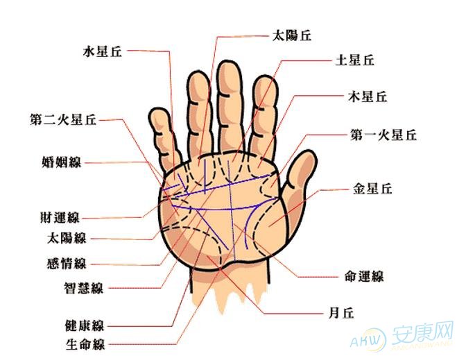 面相分析牙齿的人感情注意事项（图文）看面相