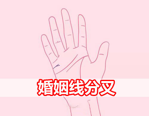 婚姻线末端分叉代表什么呢？你知道吗？