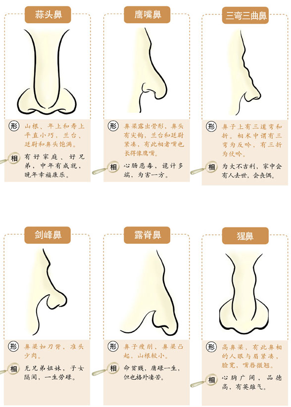 鼻子不正的人凡事不喜欢循正途去走，面相吉凶详解