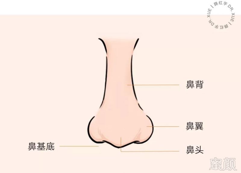 鼻子不正的人凡事不喜欢循正途去走，面相吉凶详解