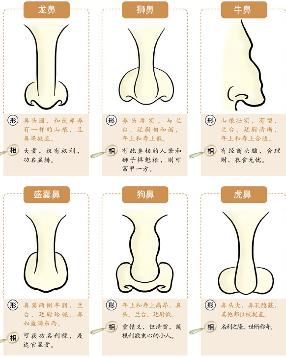 鼻子不正的人凡事不喜欢循正途去走，面相吉凶详解