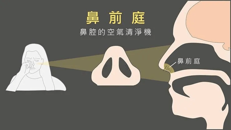 六种鼻型，对号入座，看你是富是穷？