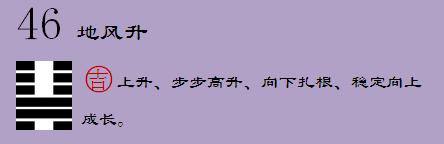 周易入门易经六十四卦系辞说卦序卦杂卦国学经典命理风水哲学书籍