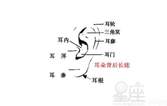 你脸上的痣是好的哪些是坏的呢？