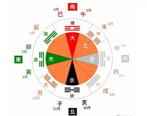 五行八字算命免费测试，测生辰八字五行缺补