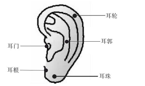 耳朵长痣的位置图解，九种最富贵耳朵面相图解