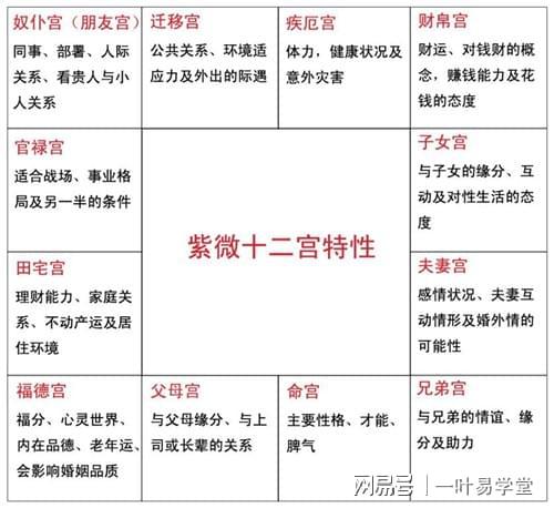 炎一紫微斗数系统班招生公告（紫微塔罗牌）