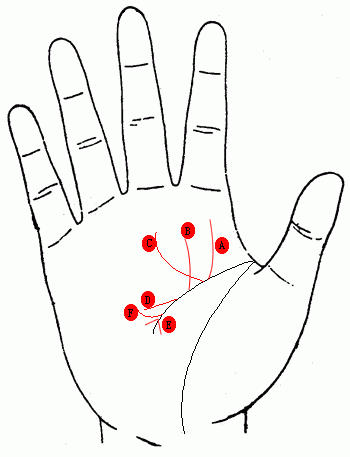 男人手相智慧线分叉图解，心力不足，开叉为天生