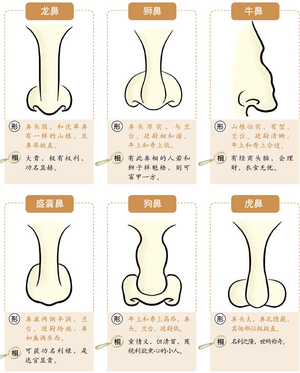 风水堂:鼻子的看法误差是最大的