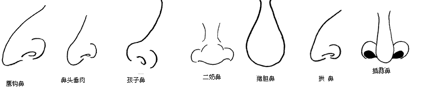 风水堂:鼻子的看法误差是最大的