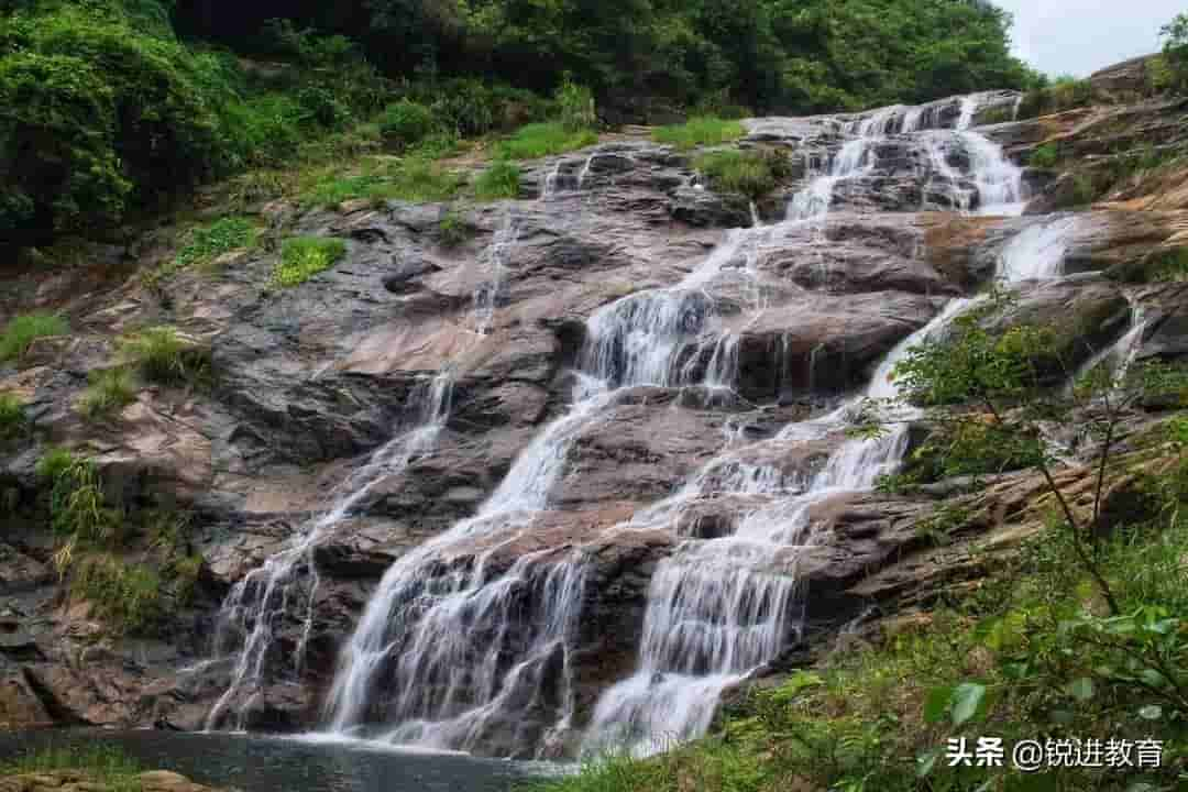 你对深圳了解有多少？深圳各区基本情况介绍来了