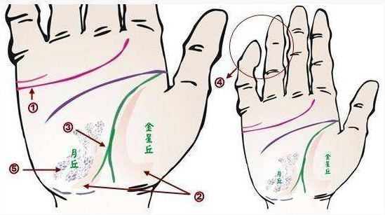风水堂：手掌上生命线的三个分叉
