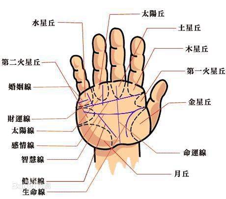 风水堂：生命线——即生命纹