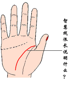 手相智慧线很长图解