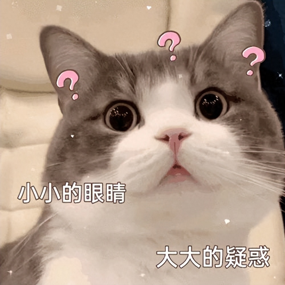 动物系脸型和猴子的区别，你中枪了吗？