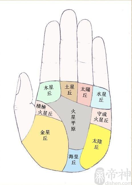 手相金星丘的相学解说有哪些看手相算命的事情