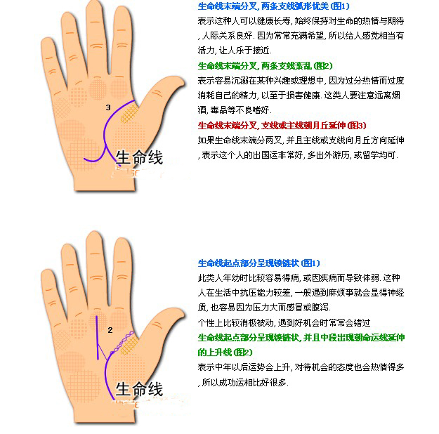 手相图解生命线分成三条长叉是什么意思？