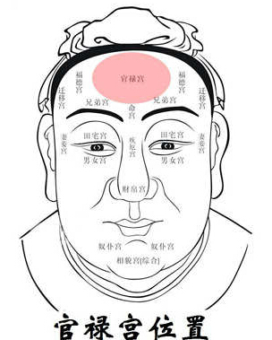 易学面相算命图解：面相十二宫是指什么呢？