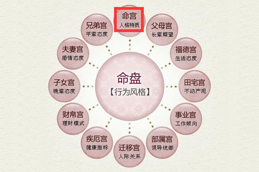 （李向东）紫微斗数名人的命运与特质的珍贵资料