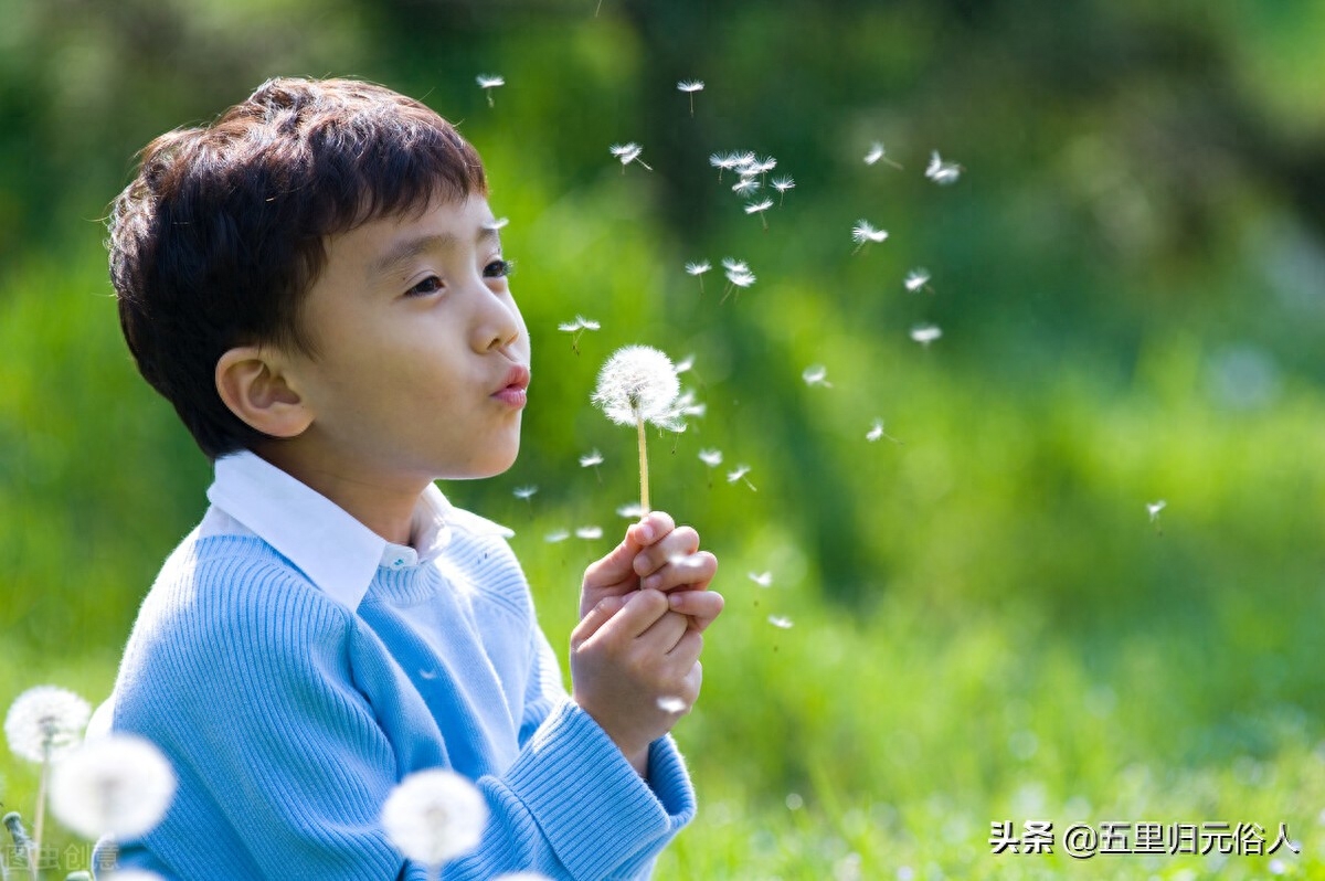 风水堂:学习《易经》的心得体会