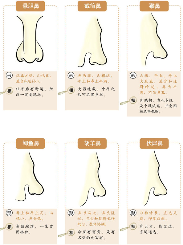 防城港算命很准的大师给看下面相的鼻子长得好不好