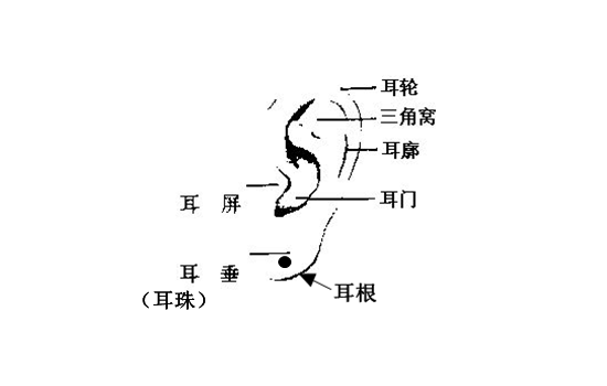 男人面相痣图解大全，男人腮边有痣，性顽固