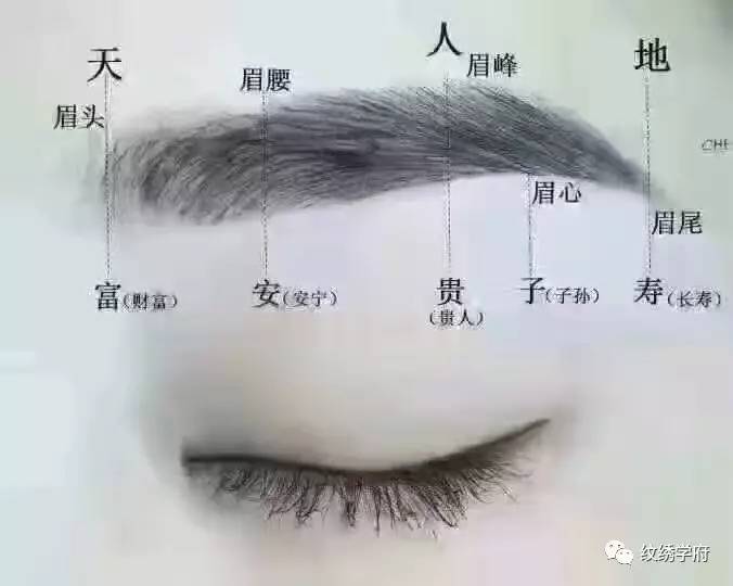 女人长个男人面的命运性格，如何女人都长得像男人