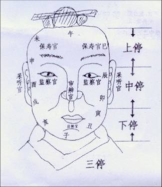 男人五官长痣面相图解析大全（女人痣相图解）