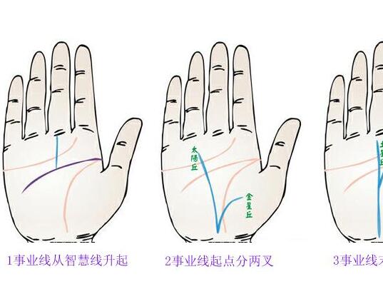 怎么看手相事业线得知今生的成就