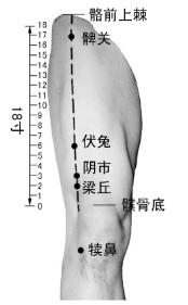 象数默念配方怎样默念，出现不适怎么办？