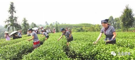 传统民间艺术与乡村旅游相辅相成